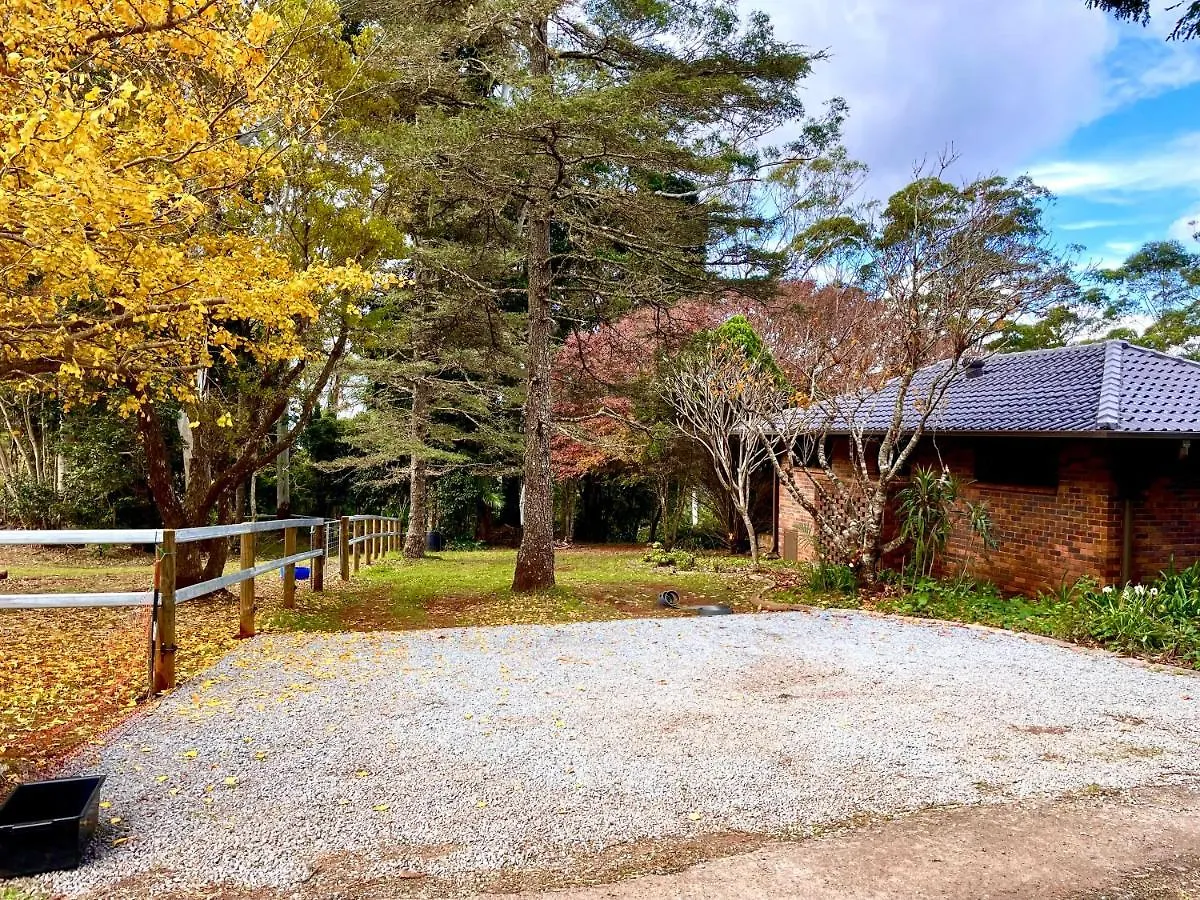 Apartment Tamborine Mountain Lodge