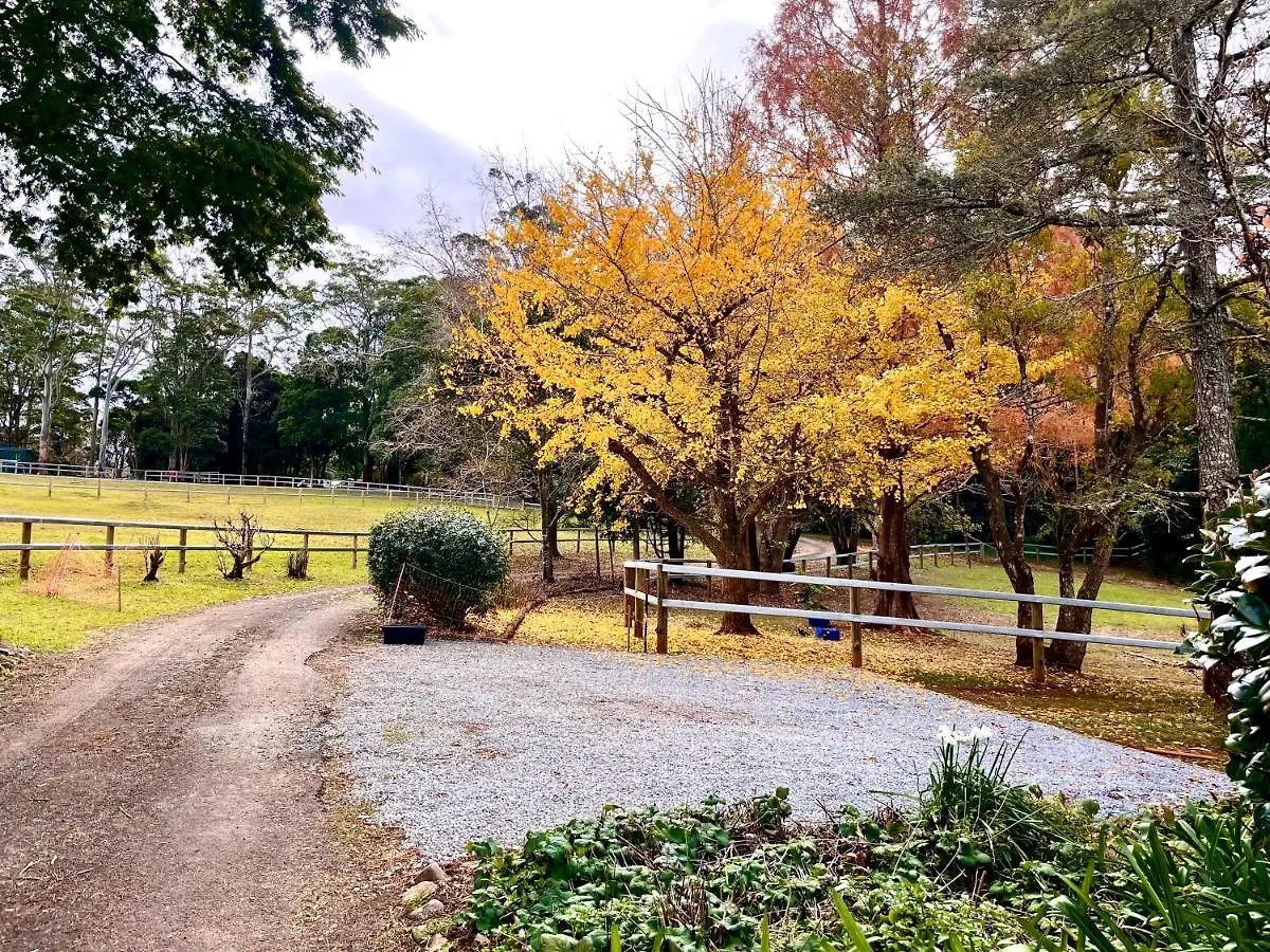 Tamborine Mountain Lodge 0*, Mount Tamborine Australia