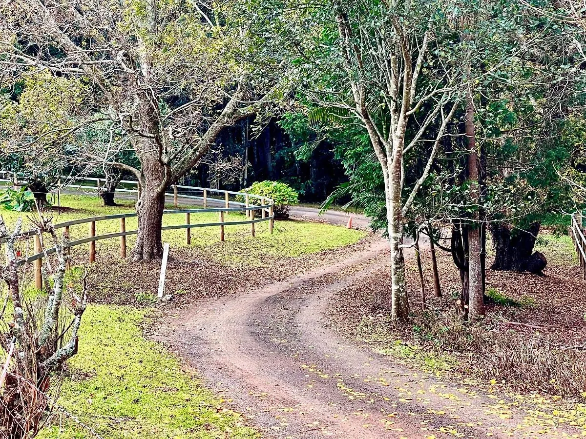 Tamborine Mountain Lodge Apartment Mount Tamborine