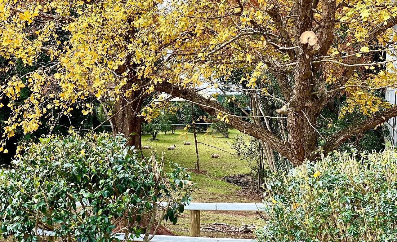 Apartment Tamborine Mountain Lodge Australia