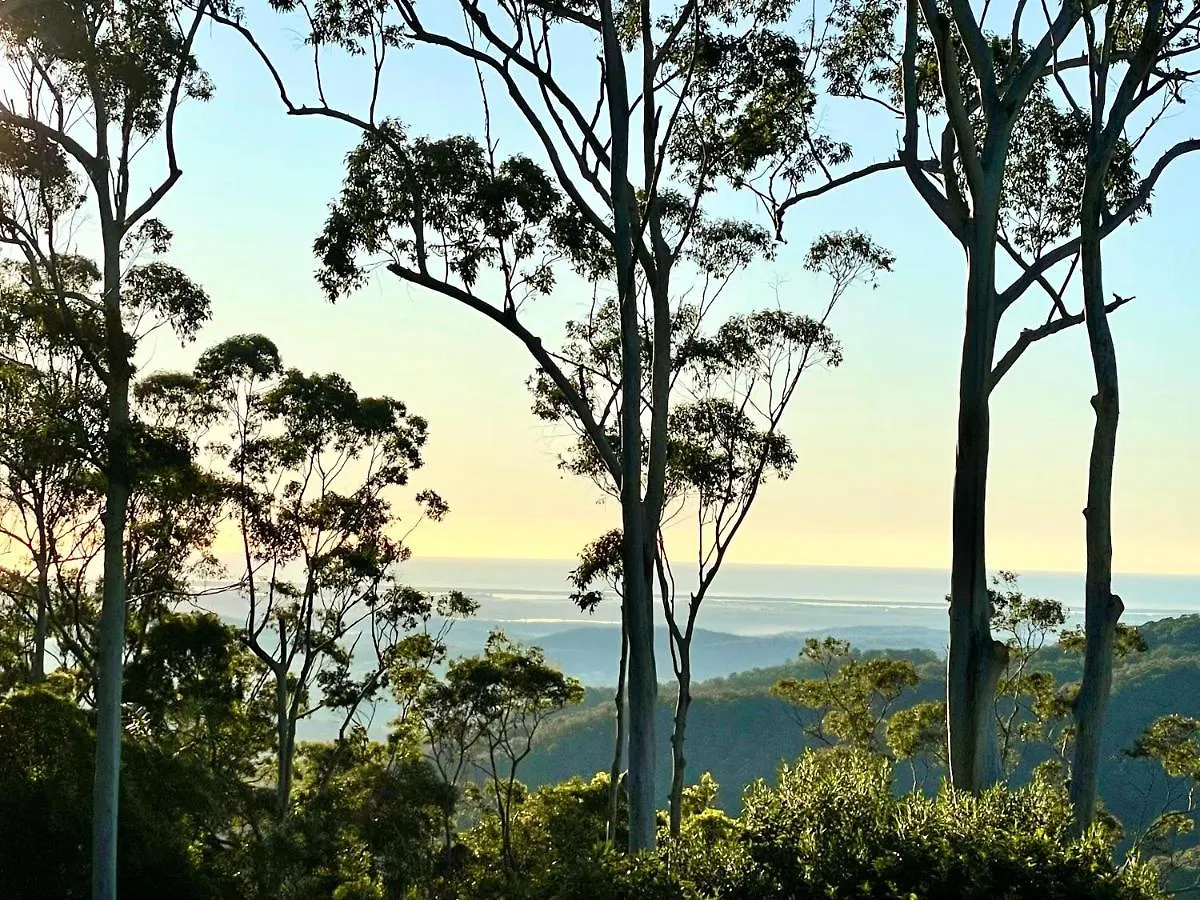 Tamborine Mountain Lodge contacts