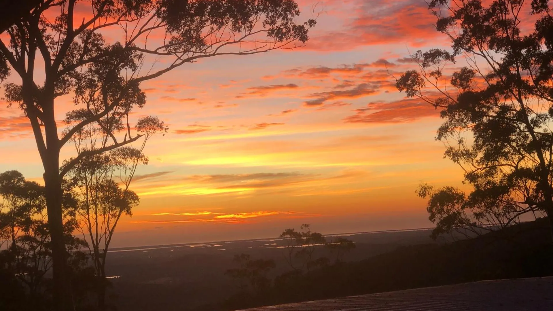 Apartment Tamborine Mountain Lodge